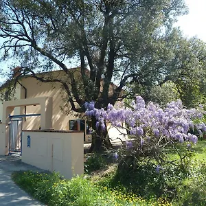 Al Vecchio Leccio Pistoia